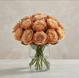 The Signature Rose Dozen (Colors Vary)
