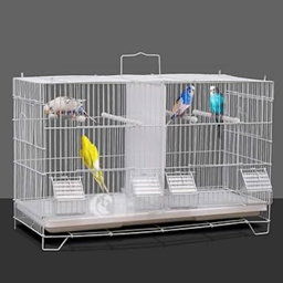 Cage reproduction oiseaux