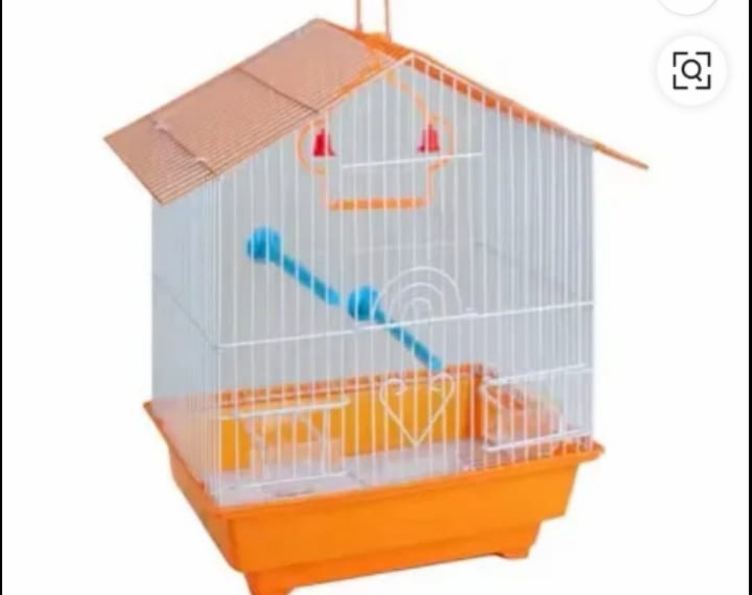 Cage perruche