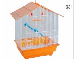 Cage perruche