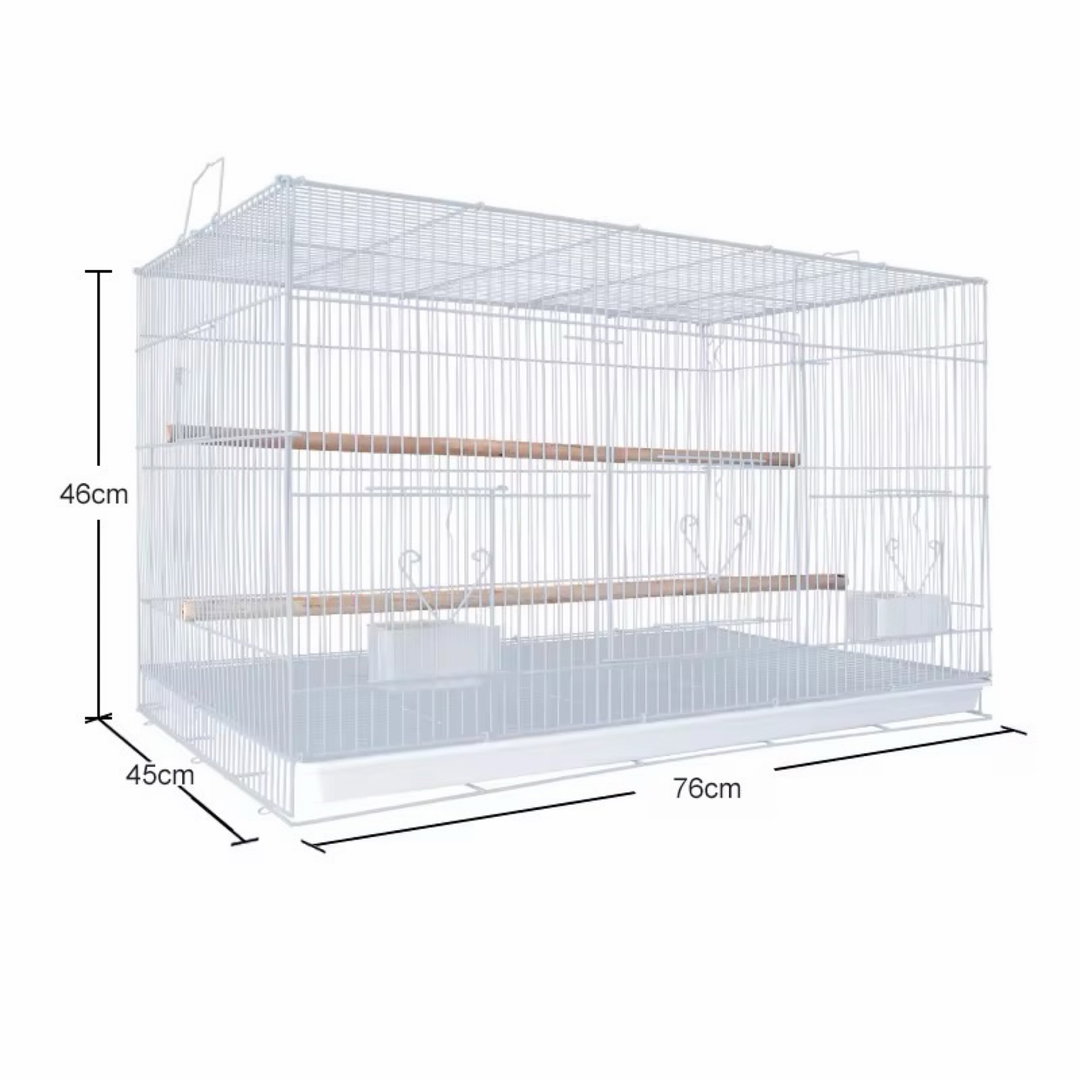 Cage élevage oiseau