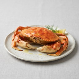 Crab 螃蟹