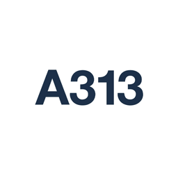 A 313