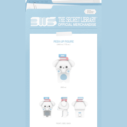 BYEON WOO SEOK 2026 FAN MEETING - PEEK-UP FIGURE BWS VER.