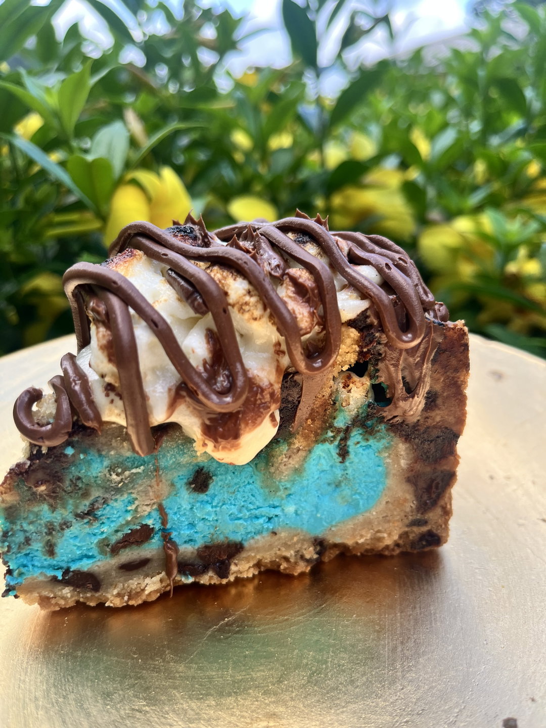 Cookie Monster S’mores Pie