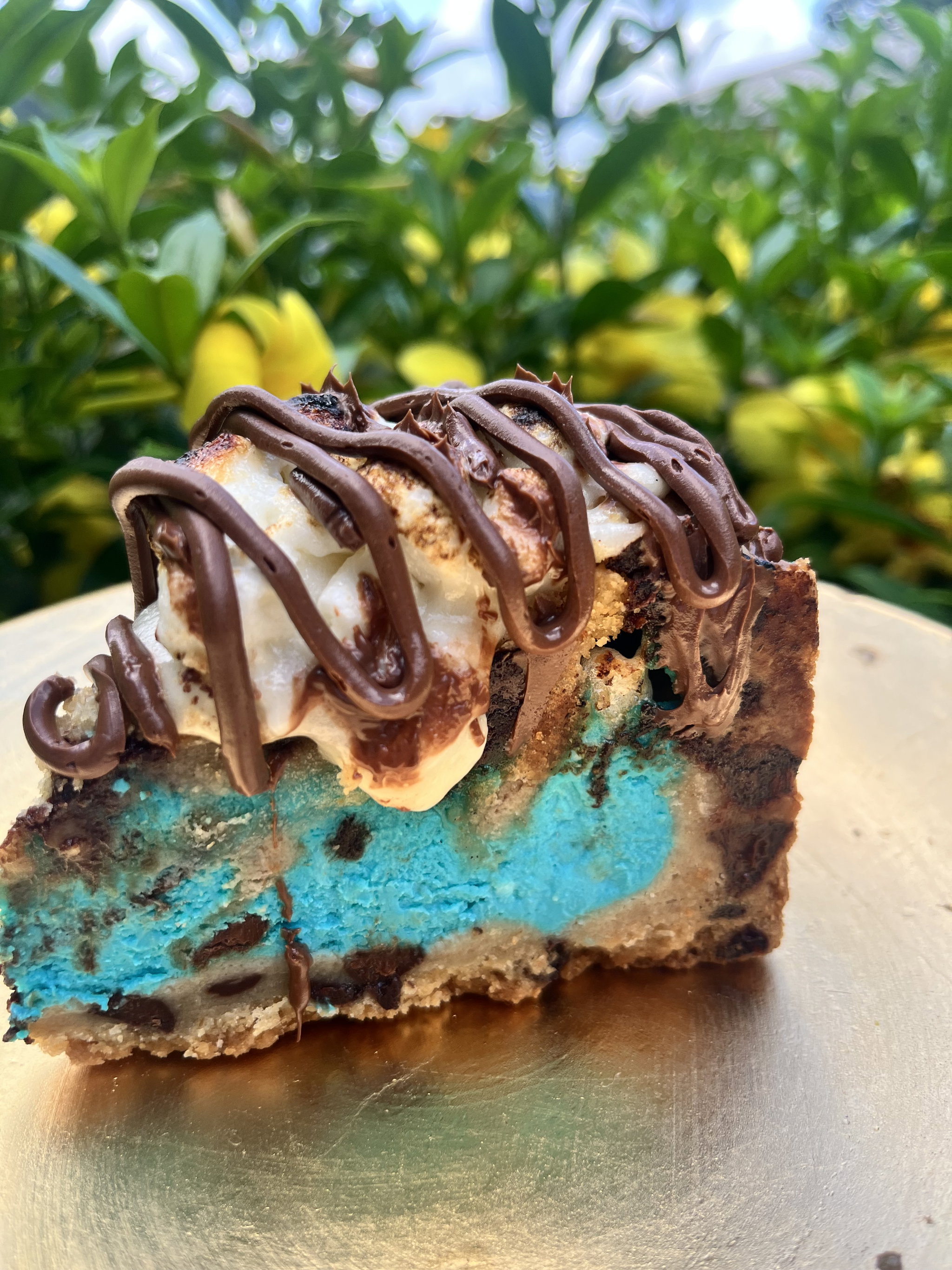 Cookie Monster S’mores Pie_0