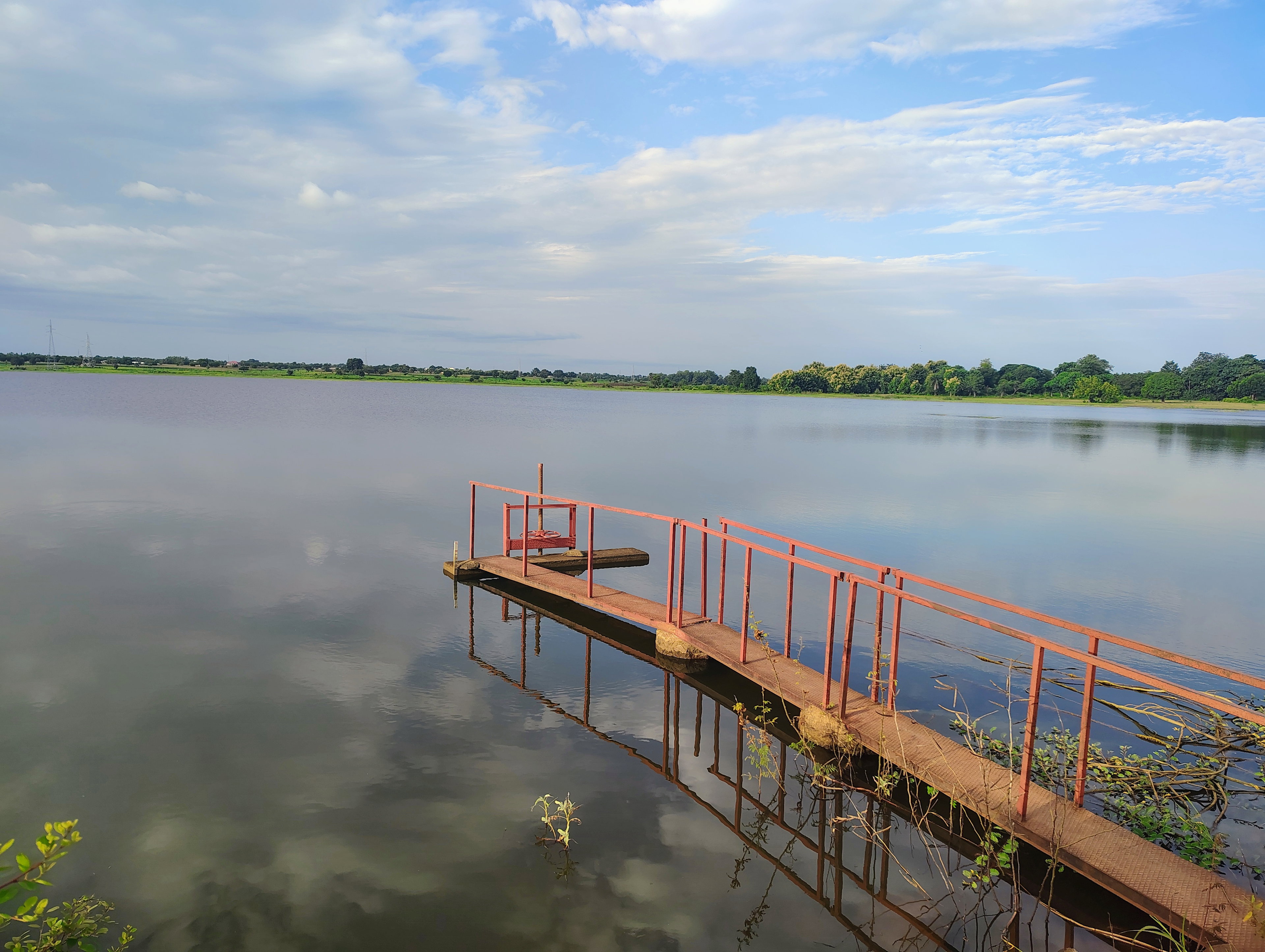 Legal Consultation