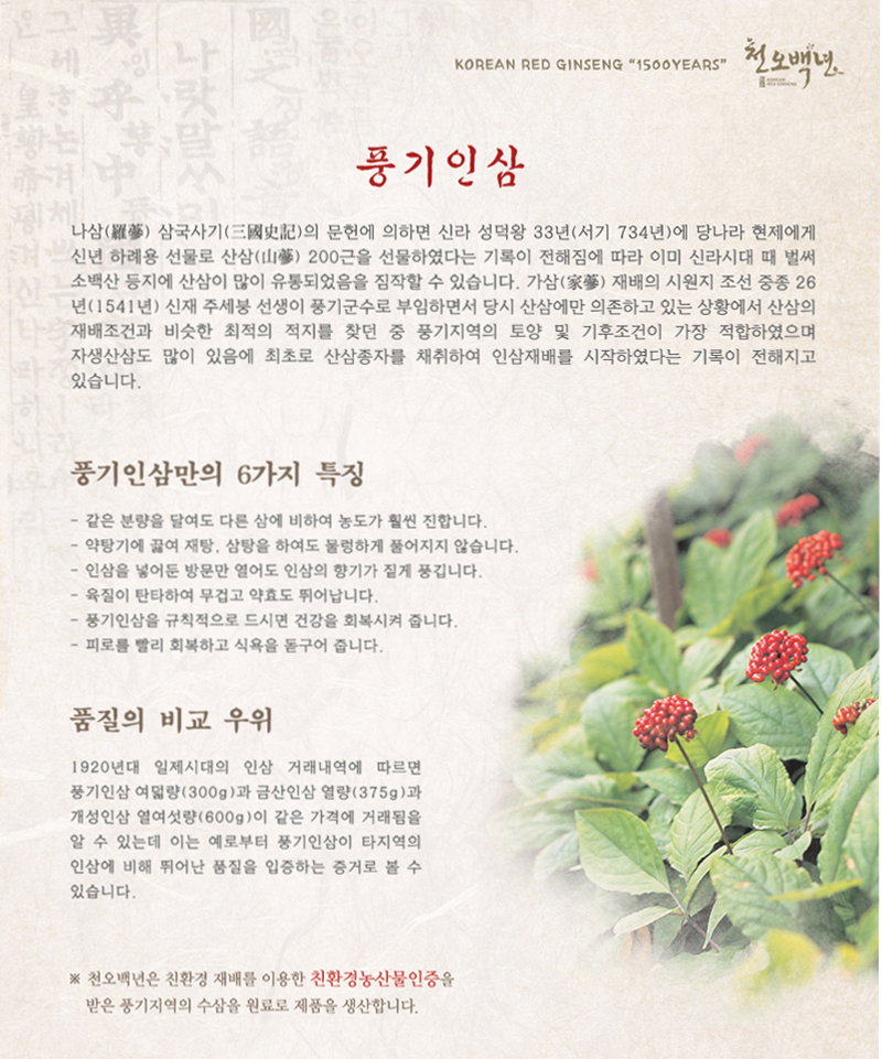 Korean 6 Years Red Ginseng Extract Stick -10ml x 30 sticks_3