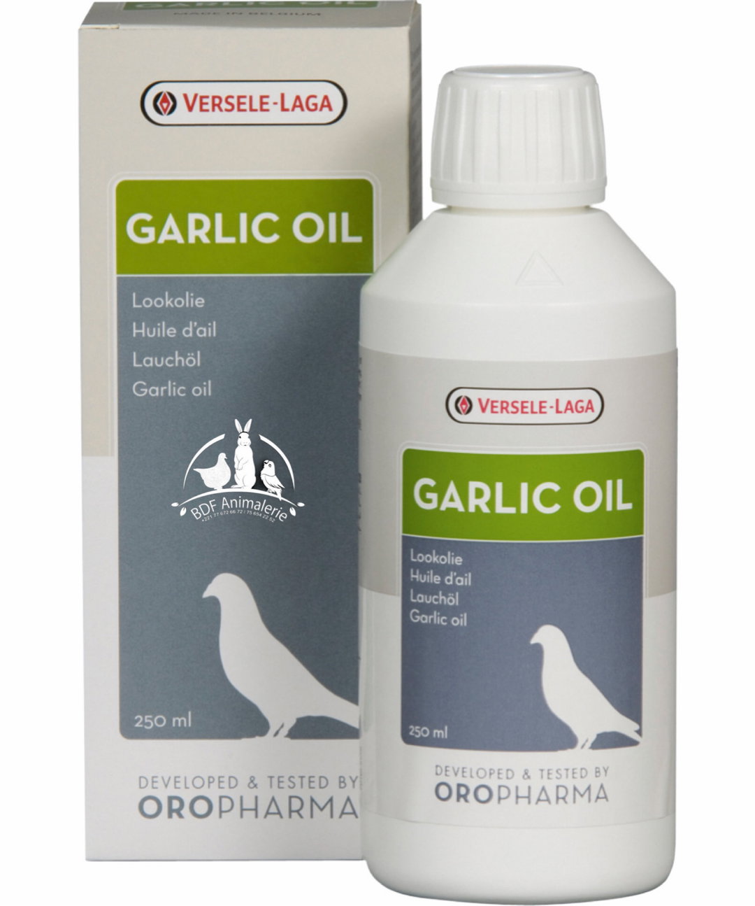Garlic oil