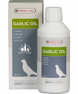 Garlic oil