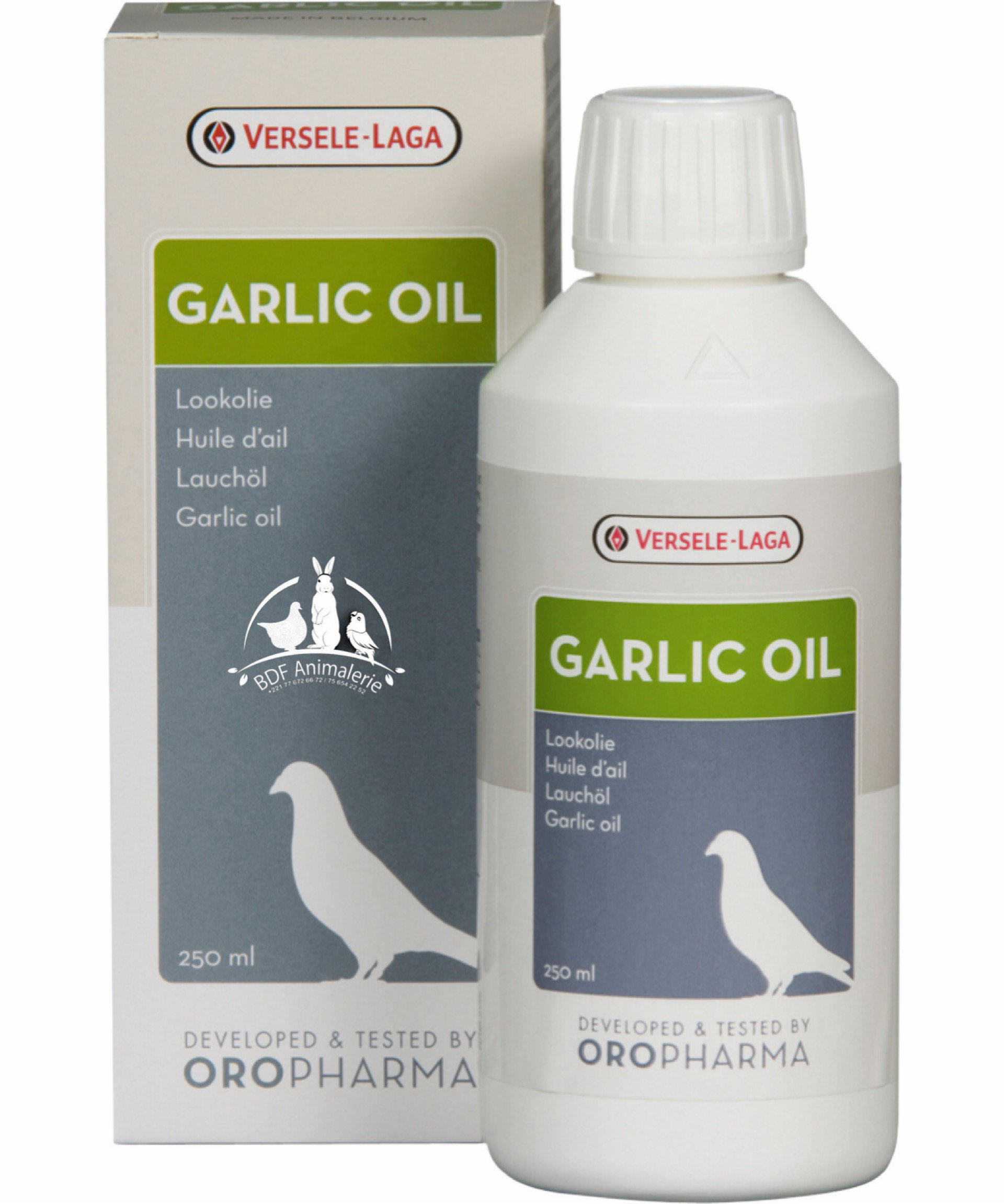Garlic oil