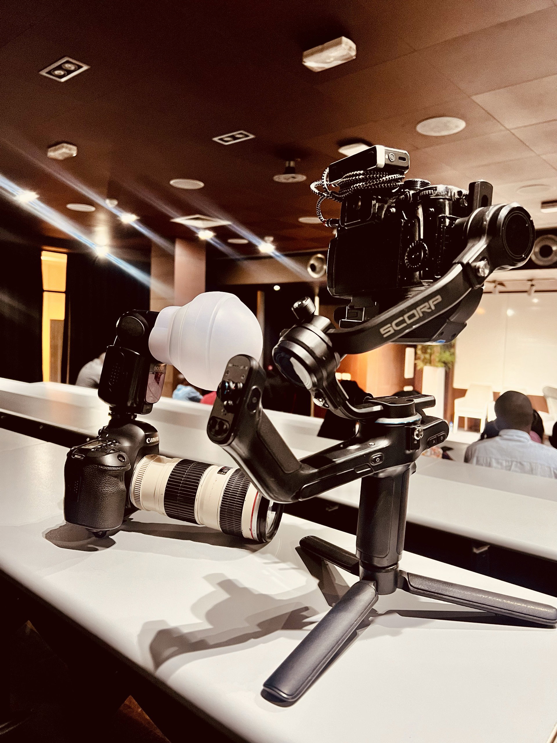 GH5_0