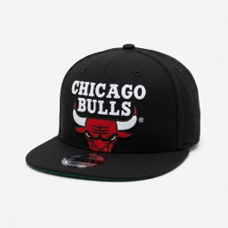 CHICAGO BULLS 