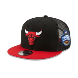 CHICAGO BULLS 
