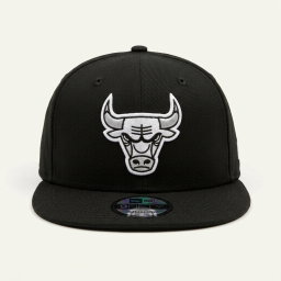 CHICAGO BULLS 