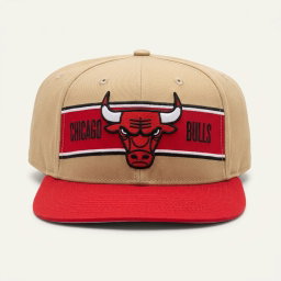 CHICAGO BULLS 2024 NBA Draft