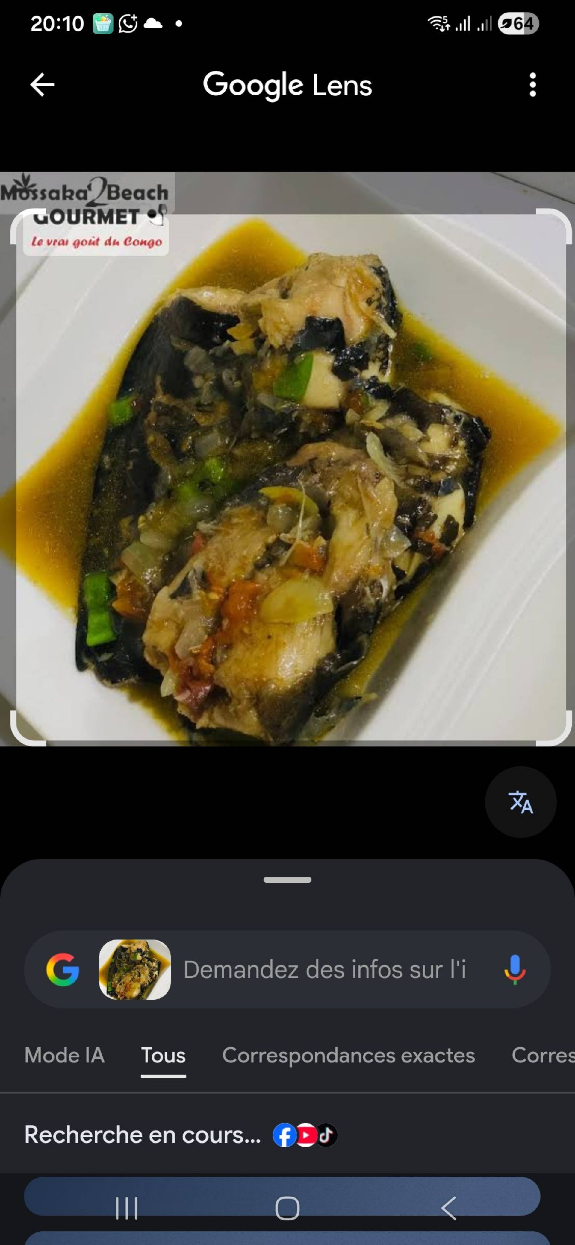 Bouillon de silure_0