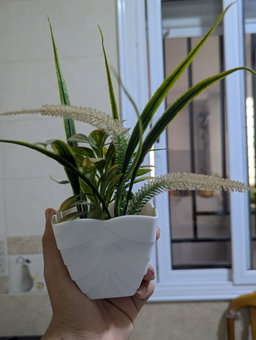 Decor