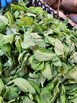 豆苗🥦（半斤）