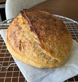 Master Sourdough