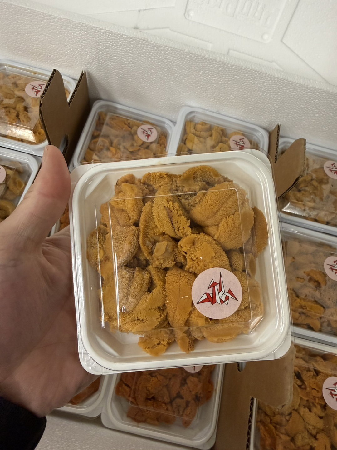 90g 'Orizuru 折鶴' Bafun Uni  