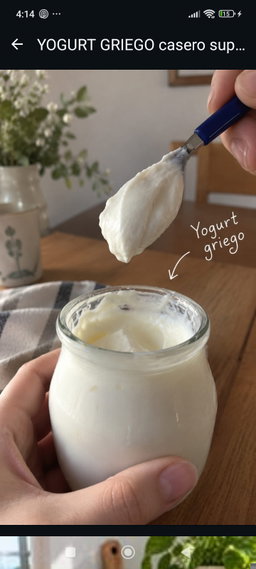 Yogurt 