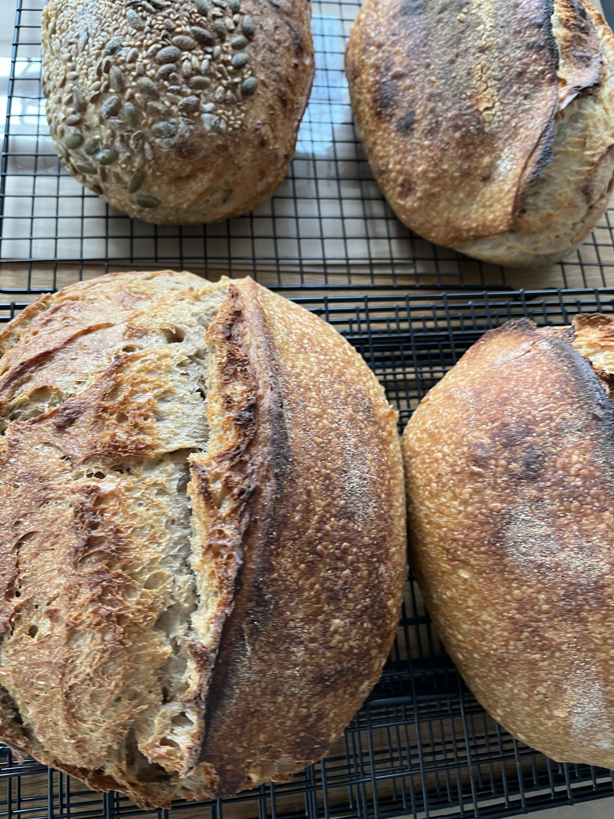 Rustic White Sourdough _1