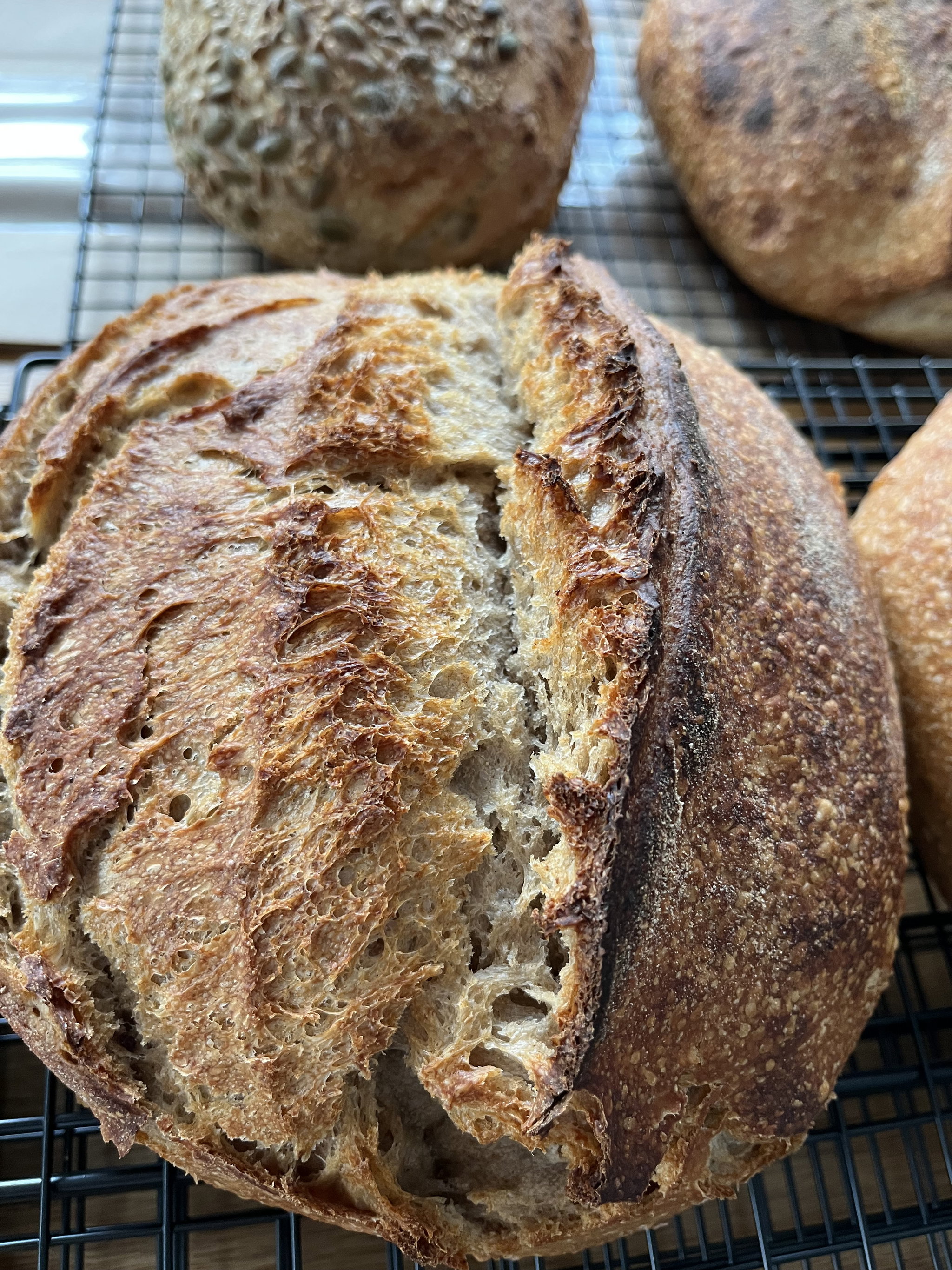 Rustic White Sourdough _0