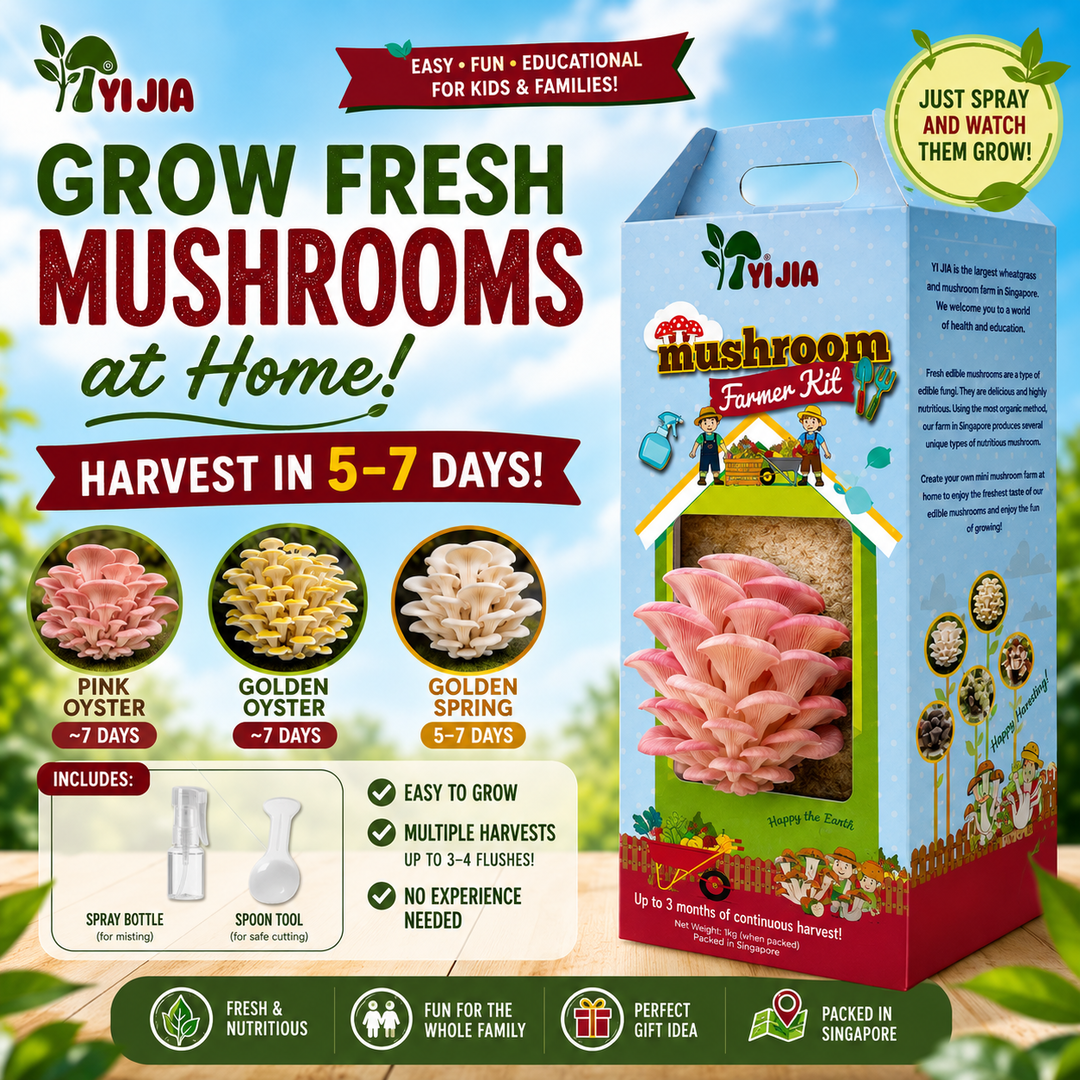 Mushroom Growing Kit