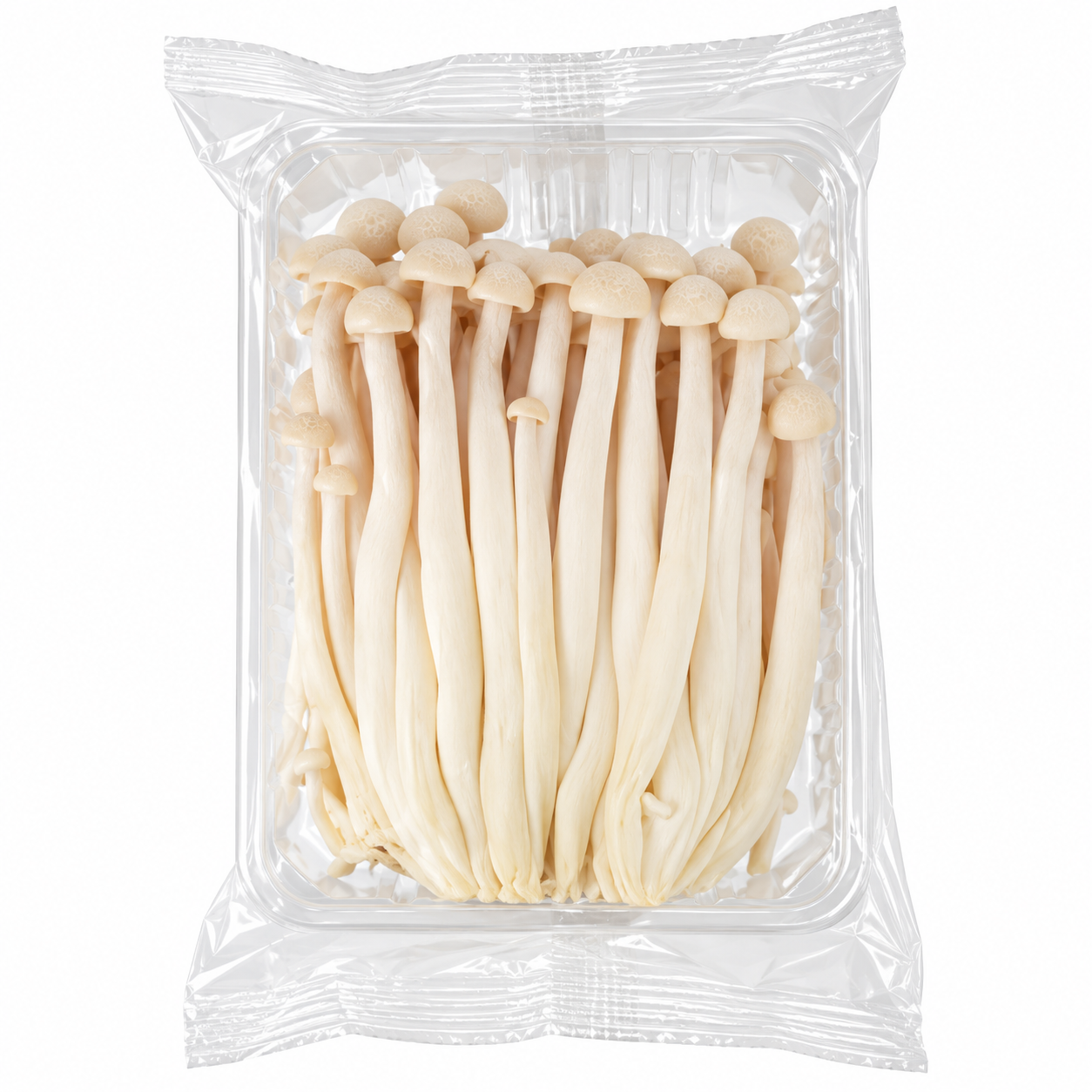 Fresh Seafood / Winter Mushroom 海鲜菇_0