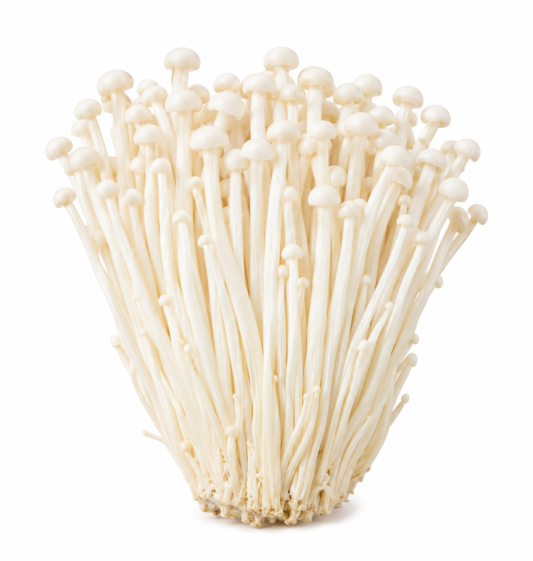 Fresh White Enoki 白针菇