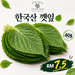 5.✈️항공 특가- 깻잎 [5-15]