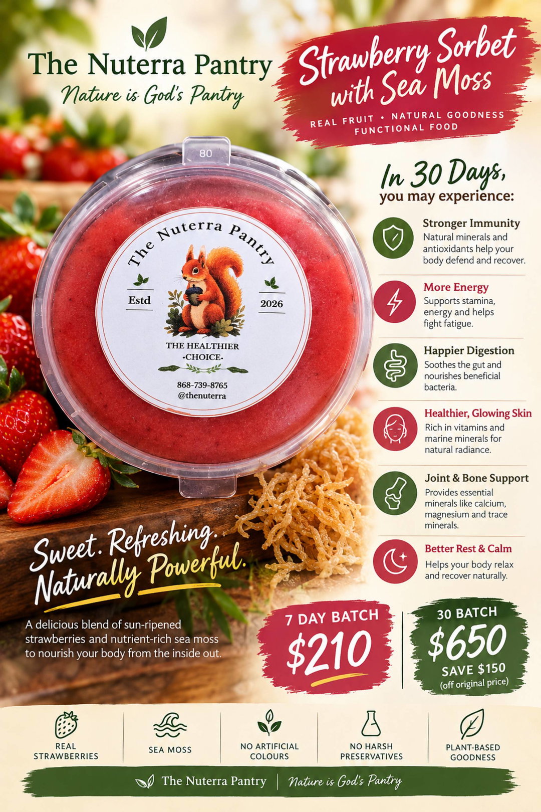Strawberry Seamoss Sorbet 30 day supply