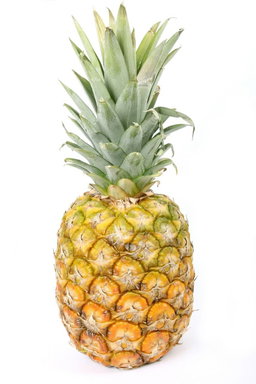 Pineapple/Nanasi🍍