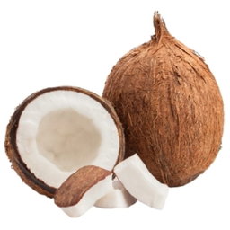 Coconut/Nazi 🥥