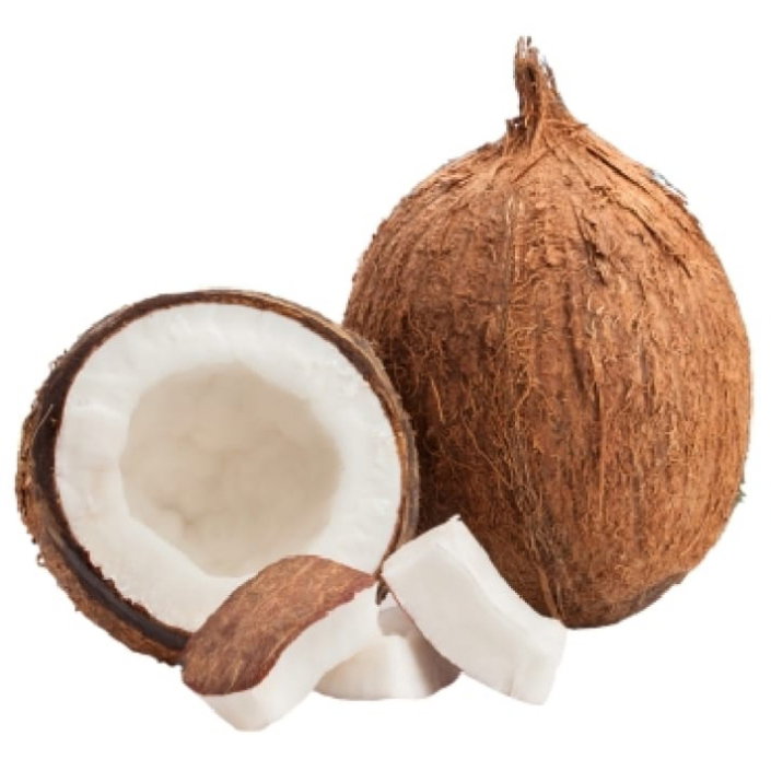 Coconut/Nazi 🥥_1