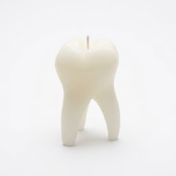 Tooth Candle