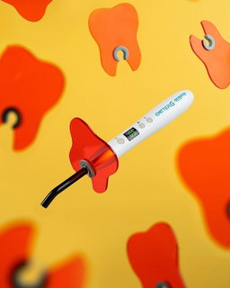 Curing Light 