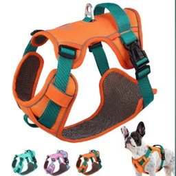 Harnesses x