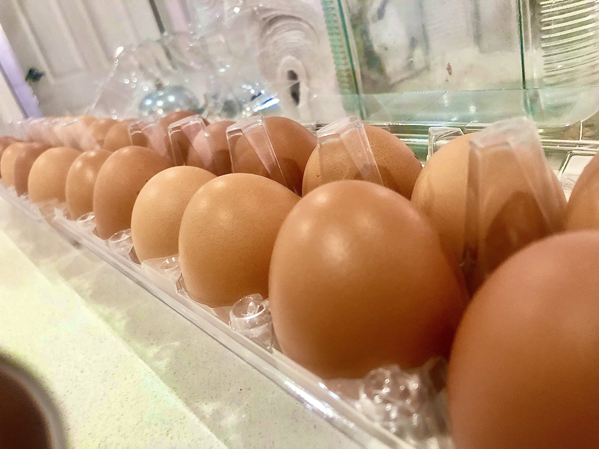 18 eggs_0