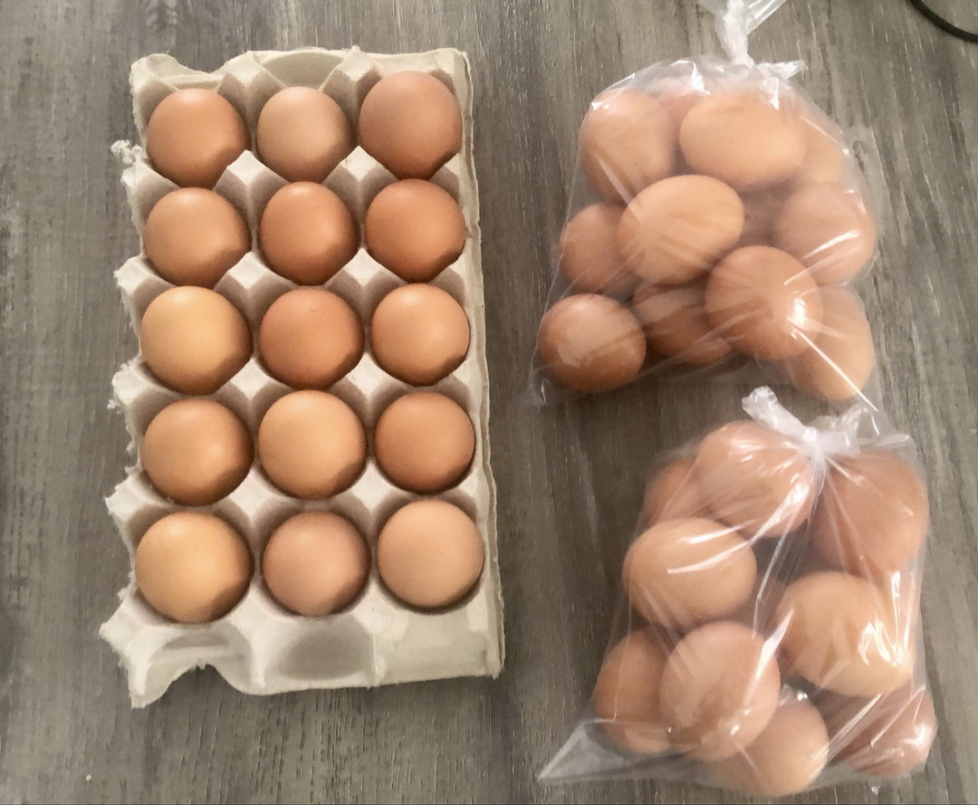 15 eggs