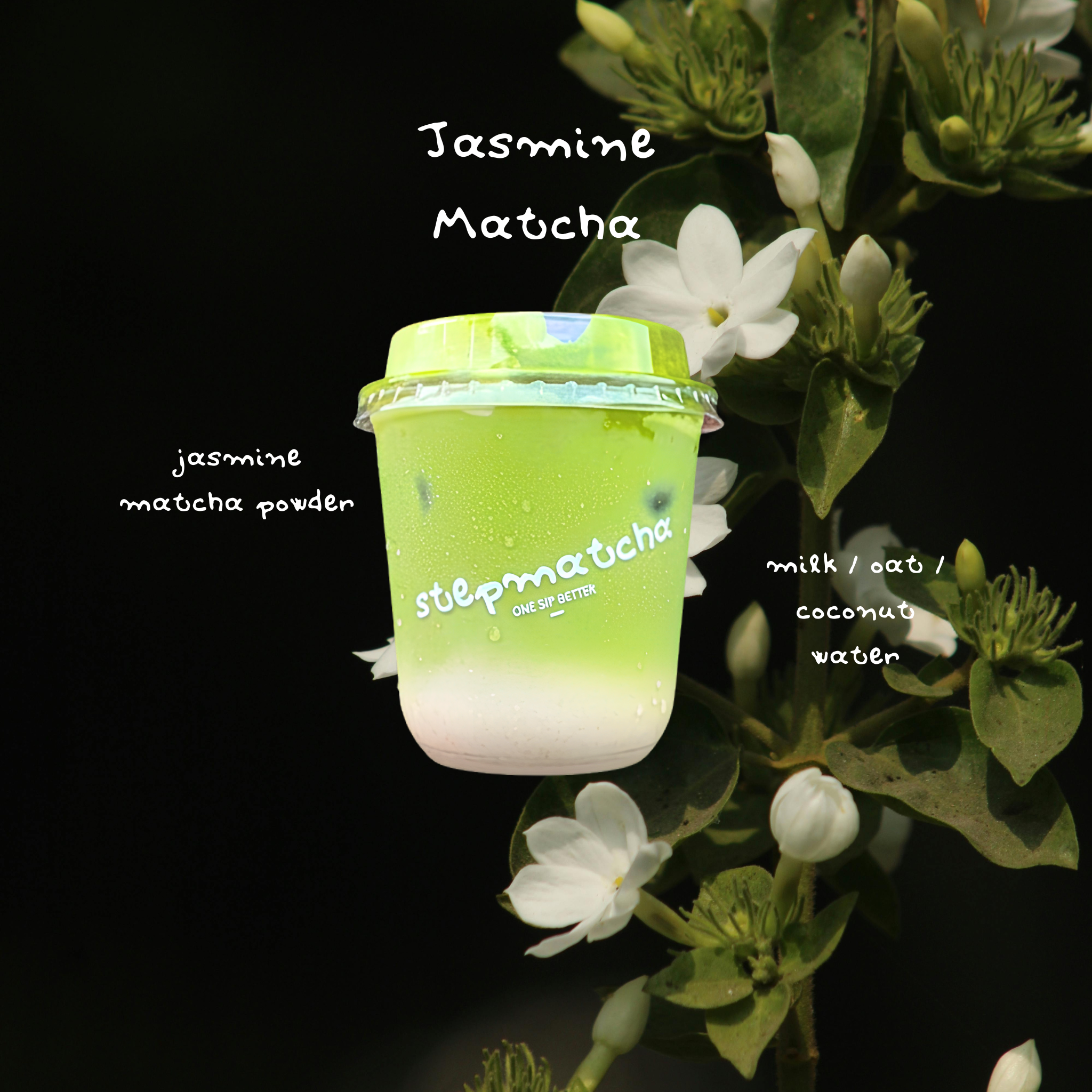 Jasmine Matcha_0