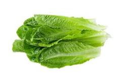GREEN COS LETTUCE PER HEAD_0