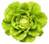 BUTTER LETTUCE PER HEAD