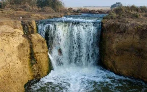Echoes of Nature: A Journey to Fayoum Oasis_1