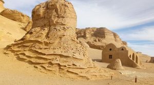 Echoes of Nature: A Journey to Fayoum Oasis_0