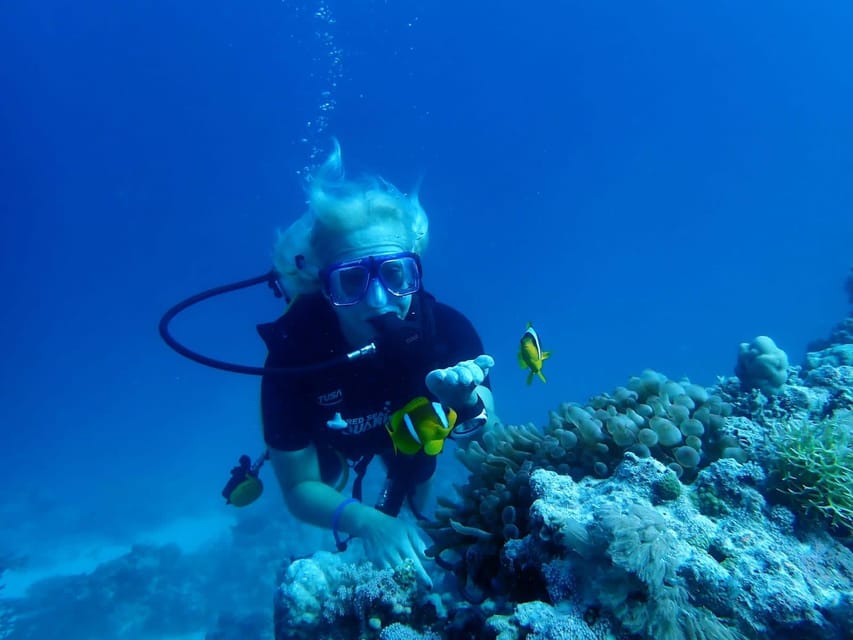 Intro Diving Snorkeling Tour with Lunch & Drinks_2