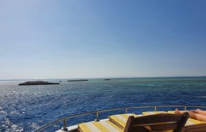Intro Diving Snorkeling Tour with Lunch & Drinks