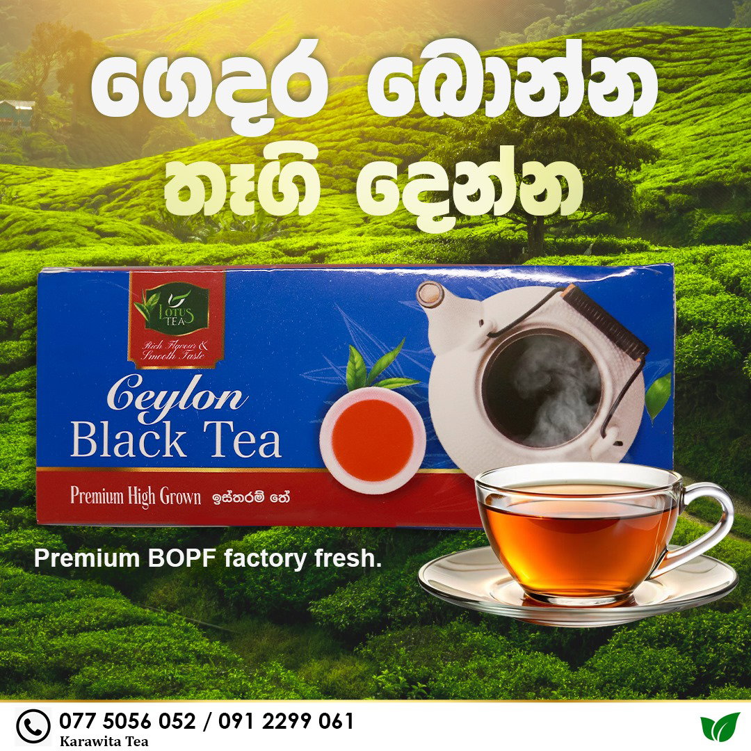 🍵 Premium Ceylon Black Tea – 25 Tea Bags | Pure Ceylon Tea,Free Economy Shipping_0