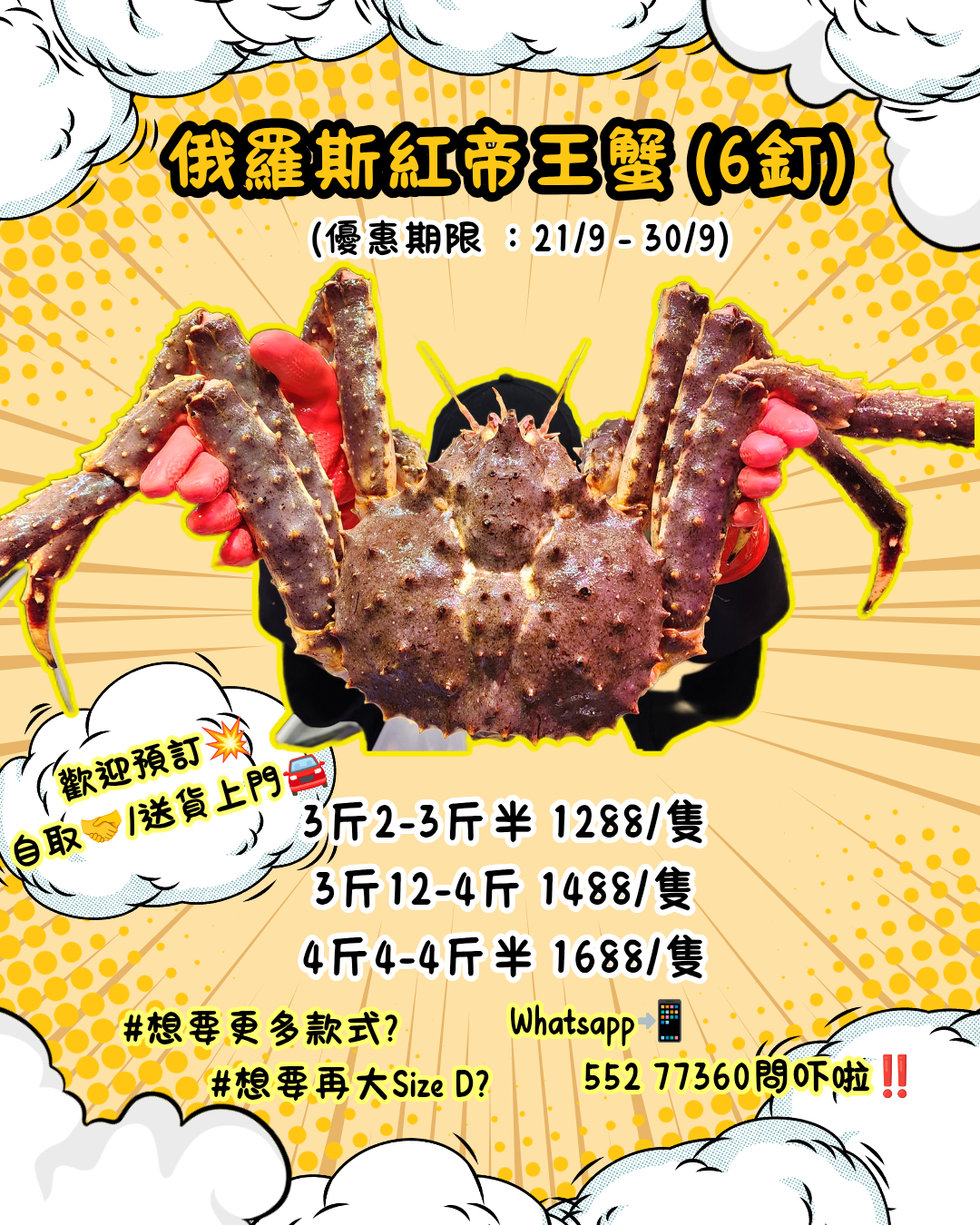 俄羅斯紅帝皇蟹🦀(6釘）(隻）